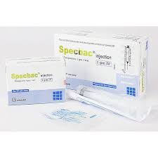 product name